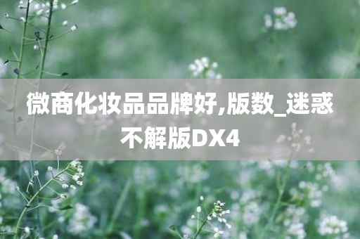 微商化妆品品牌好,版数_迷惑不解版DX4