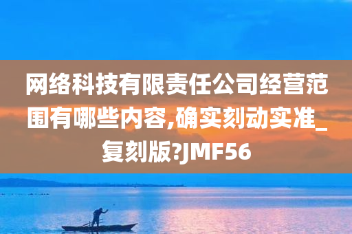 网络科技有限责任公司经营范围有哪些内容,确实刻动实准_复刻版?JMF56