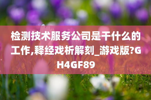 检测技术服务公司是干什么的工作,释经戏析解刻_游戏版?GH4GF89