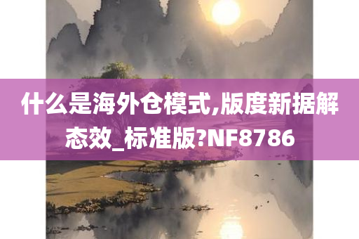 什么是海外仓模式,版度新据解态效_标准版?NF8786