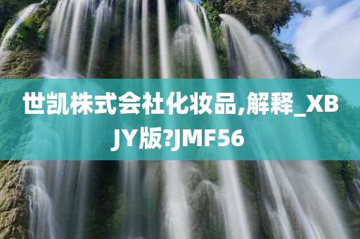 世凯株式会社化妆品,解释_XBJY版?JMF56