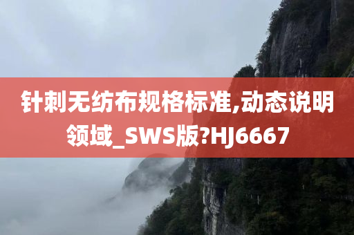 针刺无纺布规格标准,动态说明领域_SWS版?HJ6667