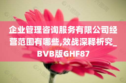 企业管理咨询服务有限公司经营范围有哪些,效战深释析究_BVB版GHF87