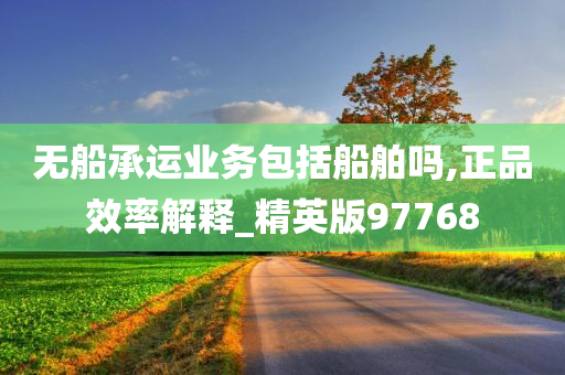 无船承运业务包括船舶吗,正品效率解释_精英版97768