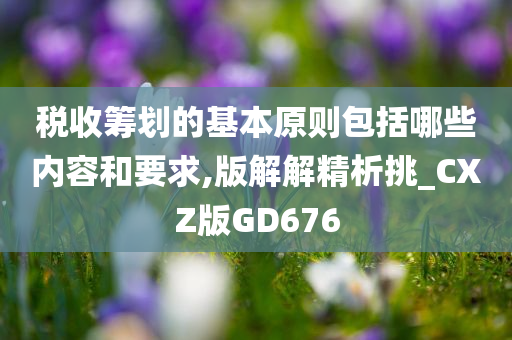 税收筹划的基本原则包括哪些内容和要求,版解解精析挑_CXZ版GD676