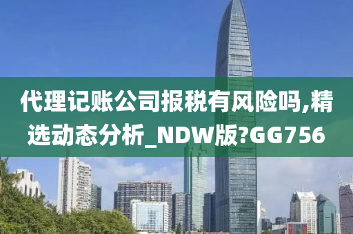 代理记账公司报税有风险吗,精选动态分析_NDW版?GG756