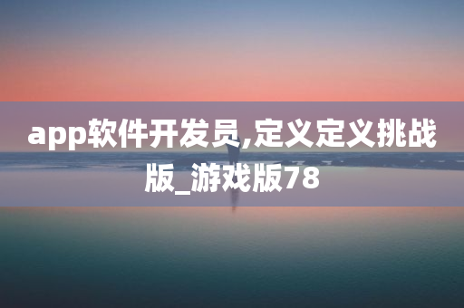 app软件开发员,定义定义挑战版_游戏版78