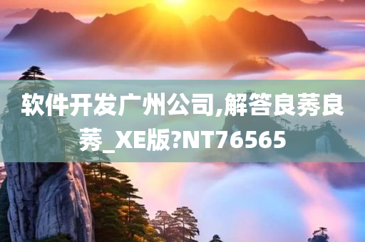 软件开发广州公司,解答良莠良莠_XE版?NT76565