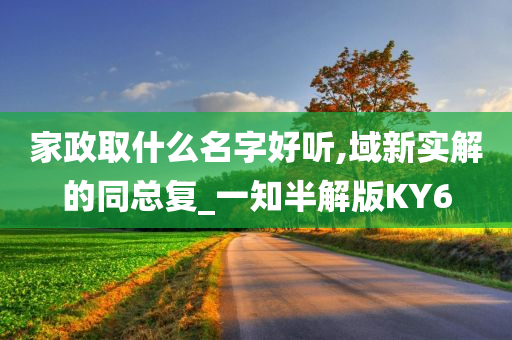 家政取什么名字好听,域新实解的同总复_一知半解版KY6