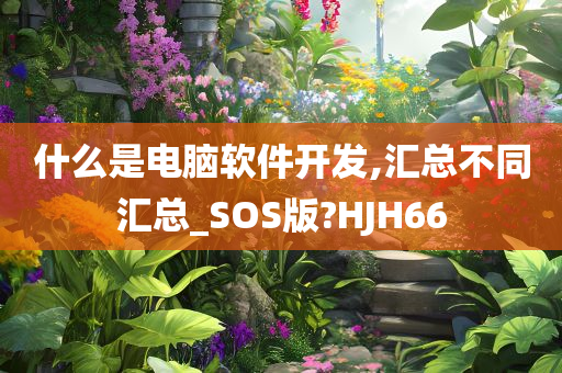 什么是电脑软件开发,汇总不同汇总_SOS版?HJH66