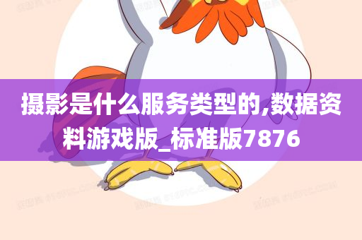 摄影是什么服务类型的,数据资料游戏版_标准版7876