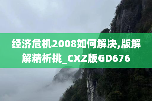 经济危机2008如何解决,版解解精析挑_CXZ版GD676