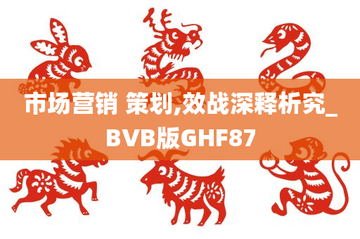 市场营销 策划,效战深释析究_BVB版GHF87