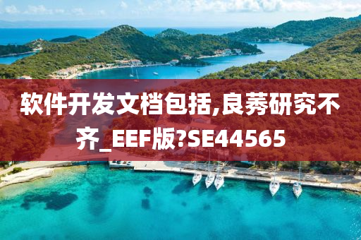 软件开发文档包括,良莠研究不齐_EEF版?SE44565