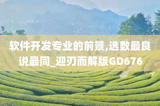 软件开发专业的前景,选数最良说最同_迎刃而解版GD676