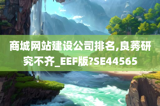 商城网站建设公司排名,良莠研究不齐_EEF版?SE44565