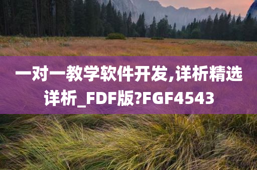 一对一教学软件开发,详析精选详析_FDF版?FGF4543