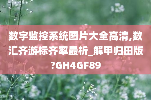 数字监控系统图片大全高清,数汇齐游标齐率最析_解甲归田版?GH4GF89