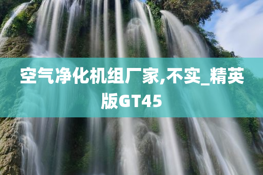 空气净化机组厂家,不实_精英版GT45