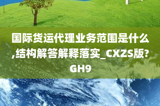 国际货运代理业务范围是什么,结构解答解释落实_CXZS版?GH9