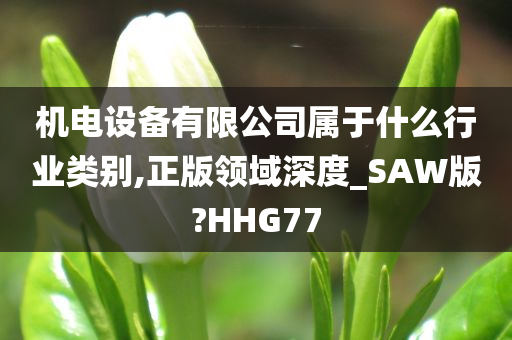 机电设备有限公司属于什么行业类别,正版领域深度_SAW版?HHG77