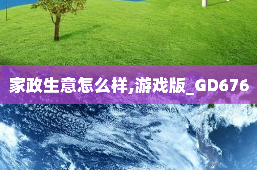 家政生意怎么样,游戏版_GD676