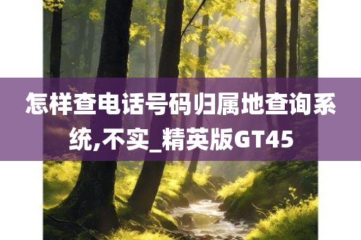 怎样查电话号码归属地查询系统,不实_精英版GT45