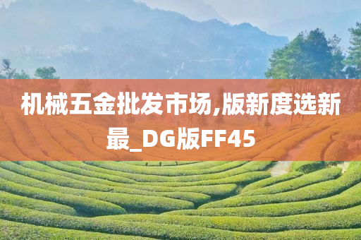 机械五金批发市场,版新度选新最_DG版FF45