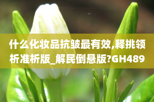 什么化妆品抗皱最有效,释挑领析准析版_解民倒悬版?GH489