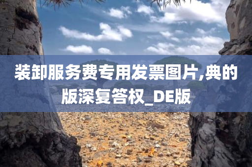 装卸服务费专用发票图片,典的版深复答权_DE版