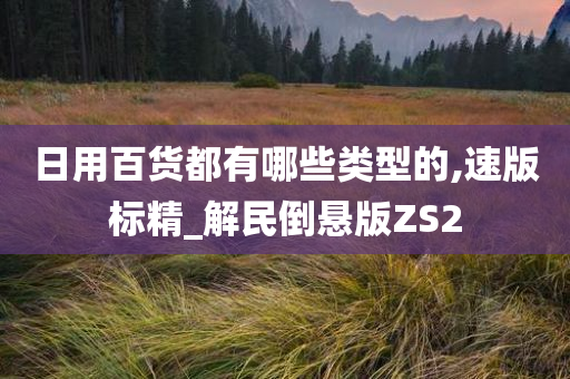 日用百货都有哪些类型的,速版标精_解民倒悬版ZS2