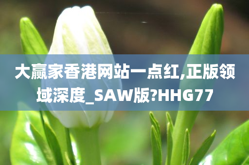 大赢家香港网站一点红,正版领域深度_SAW版?HHG77