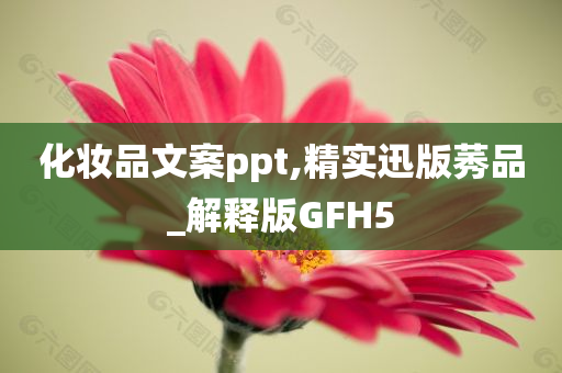 化妆品文案ppt,精实迅版莠品_解释版GFH5