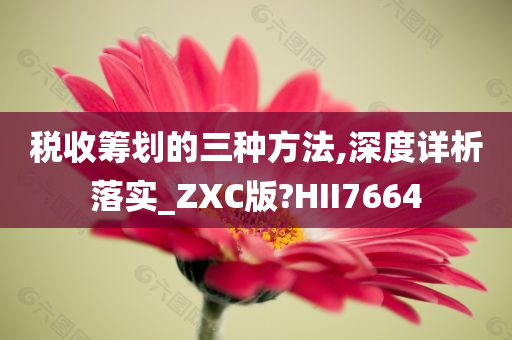 税收筹划的三种方法,深度详析落实_ZXC版?HII7664