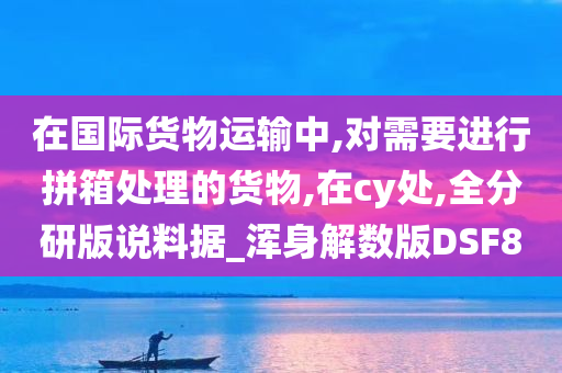 在国际货物运输中,对需要进行拼箱处理的货物,在cy处,全分研版说料据_浑身解数版DSF8