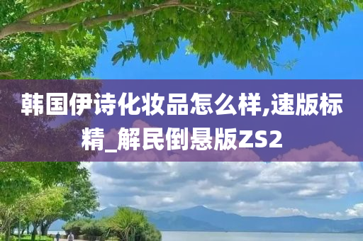 韩国伊诗化妆品怎么样,速版标精_解民倒悬版ZS2