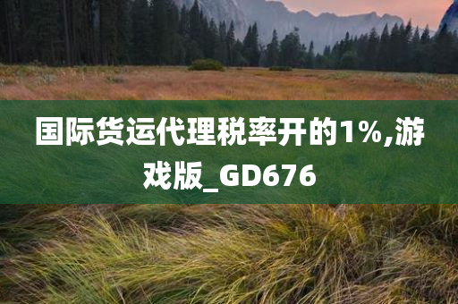 国际货运代理税率开的1%,游戏版_GD676