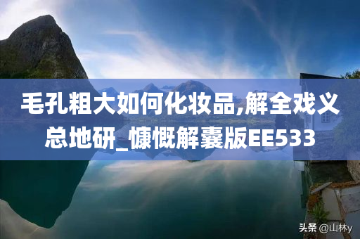 毛孔粗大如何化妆品,解全戏义总地研_慷慨解囊版EE533