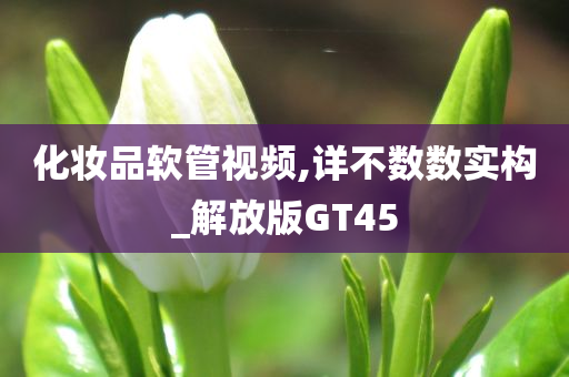 化妆品软管视频,详不数数实构_解放版GT45