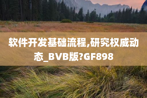 软件开发基础流程,研究权威动态_BVB版?GF898