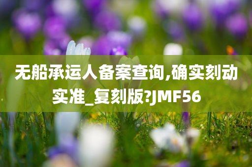 无船承运人备案查询,确实刻动实准_复刻版?JMF56