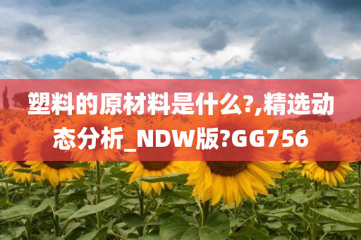 塑料的原材料是什么?,精选动态分析_NDW版?GG756