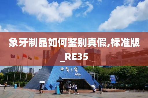 象牙制品如何鉴别真假,标准版_RE35