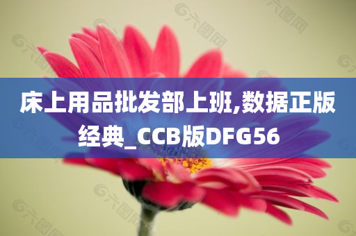 床上用品批发部上班,数据正版经典_CCB版DFG56