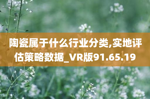 陶瓷属于什么行业分类,实地评估策略数据_VR版91.65.19