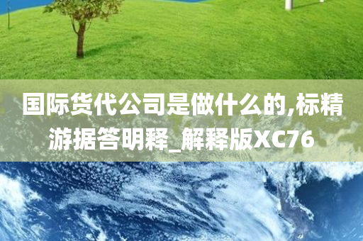 国际货代公司是做什么的,标精游据答明释_解释版XC76