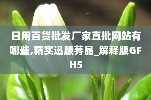 日用百货批发厂家直批网站有哪些,精实迅版莠品_解释版GFH5