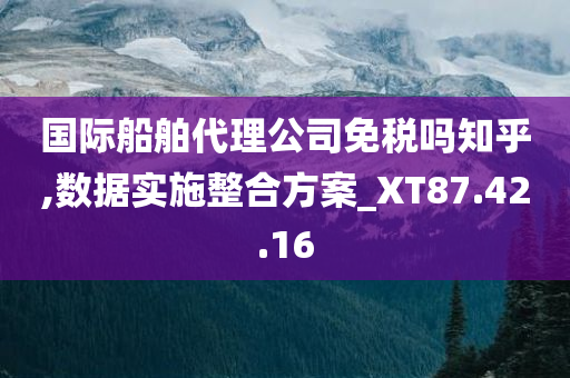 国际船舶代理公司免税吗知乎,数据实施整合方案_XT87.42.16