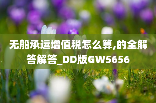 无船承运增值税怎么算,的全解答解答_DD版GW5656