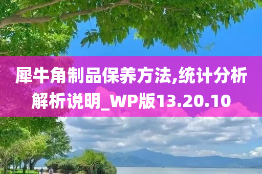 犀牛角制品保养方法,统计分析解析说明_WP版13.20.10